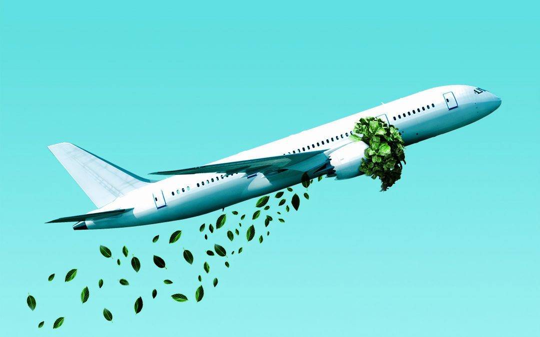 Understanding Greenwashing and False Solutions