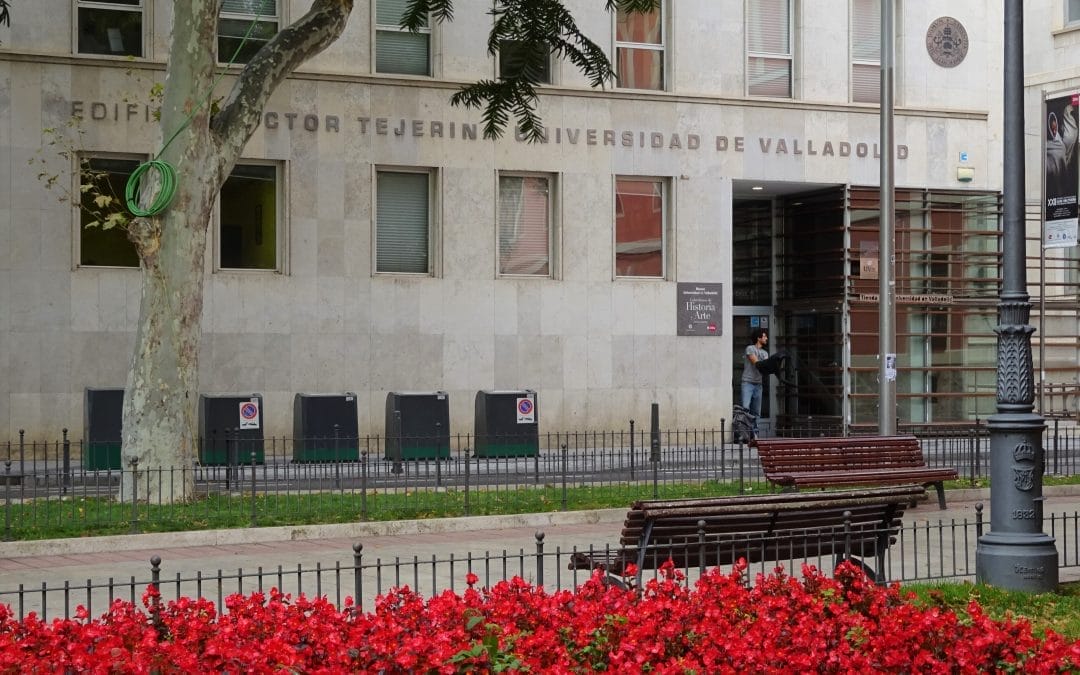 University of Valladolid – GEEDS