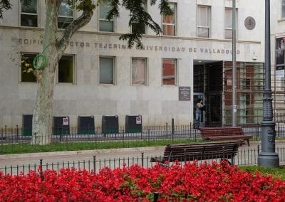 Universidad de Valladolid (GEEDS)