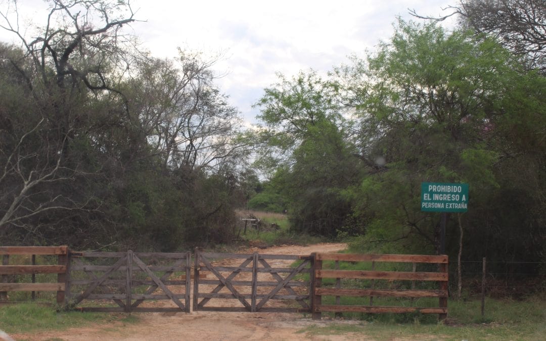 Aviation Biofuels: Mega-Refinery Threatens Local Livelihoods and Ecosystems in Paraguay, New Case Study shows