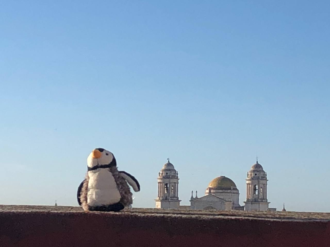 Stay Grounded Campaigner Team