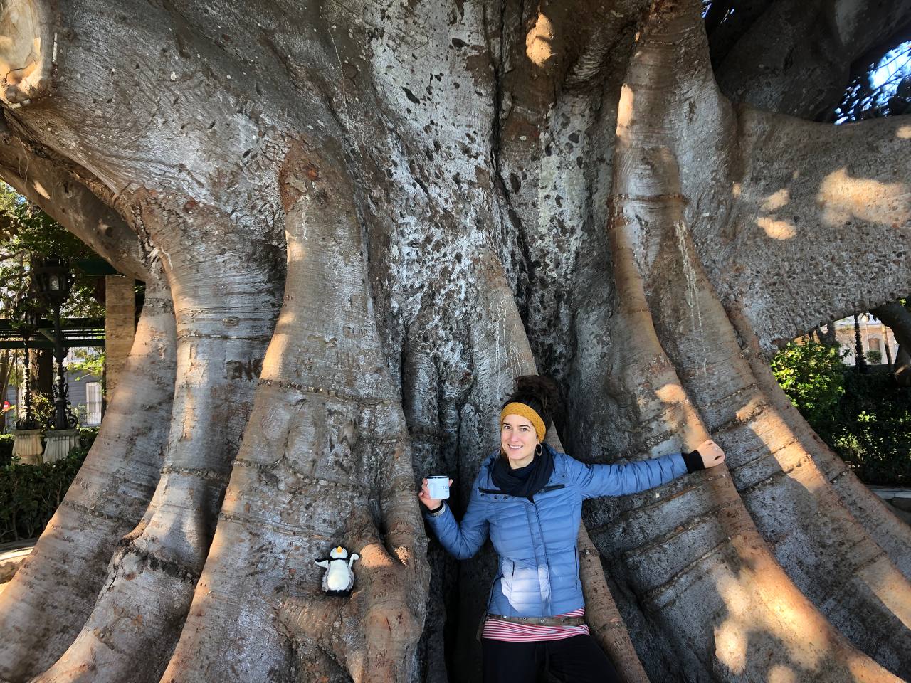 Night Train Vienna - Paris