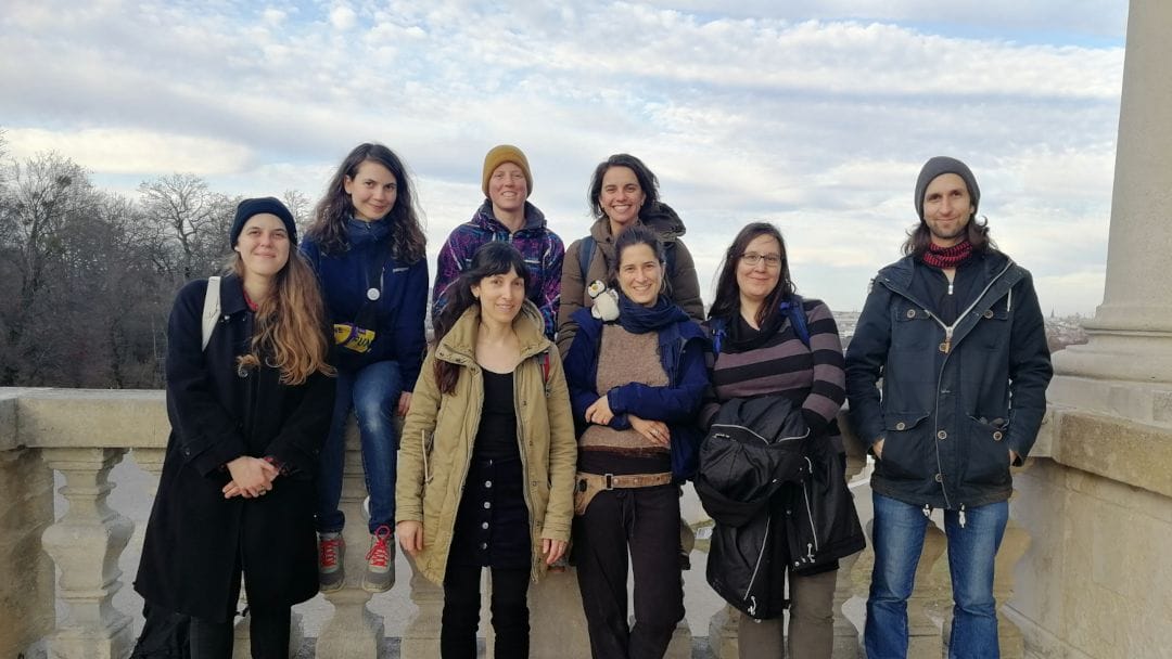 Stay Grounded Campaigner Team