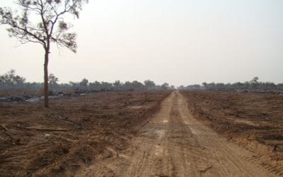 Greenwashing of Biofuel Project by BSBIOS Paraguay/ECB rejected by civil society groups