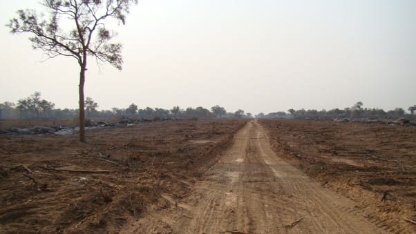 Grupos de la sociedad civil rechazan el Greenwashing de biocombustibles de BSBIOS Paraguay/ECB