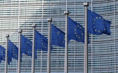 EU ETS Revision: Civil Society Calls on EU to Stop Ignoring Two-Thirds of Aviation’s Climate Impact