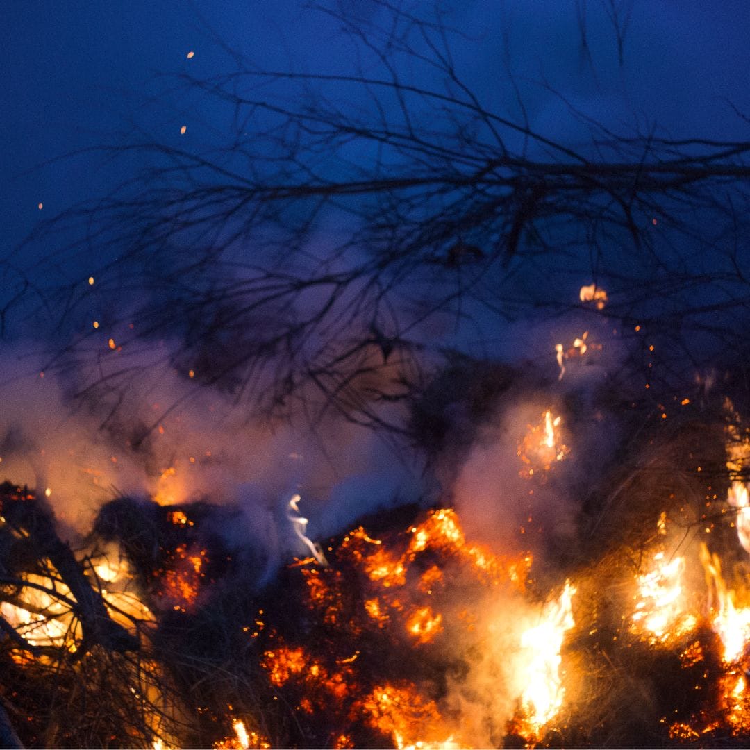 Untitled design (33)