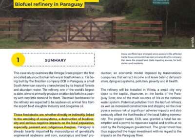 Produciendo combustibles para aviones ajenos