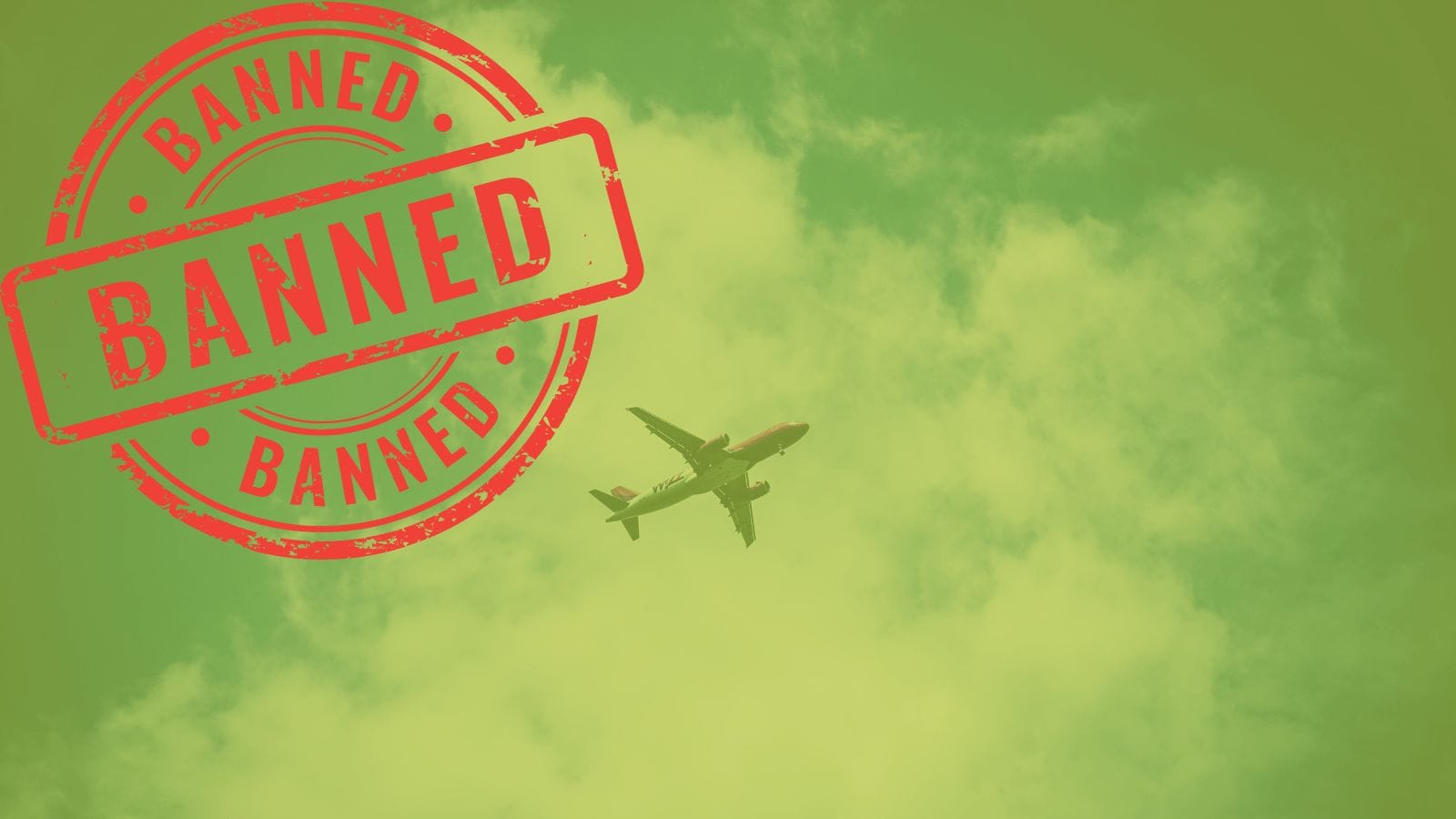 Untitled design (42)