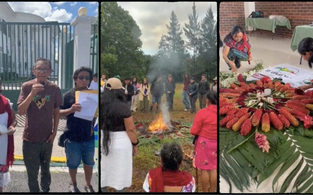 Activistas mayas denuncian el ecocidio y etnocidio provocados por el Tren Maya